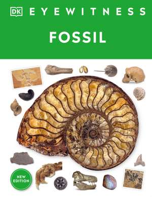 Fossil de Paul David Taylor