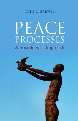 Peace Processes de John D Brewer