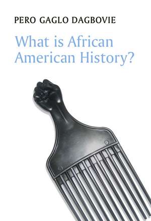 What is African American History? de P Dagbovie