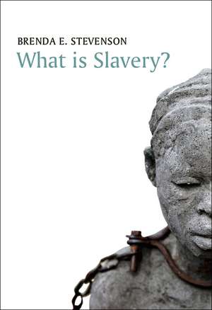 What is Slavery? de Brenda E. Stevenson