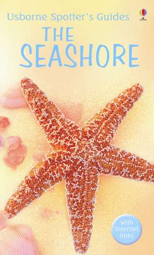 The Seashore de Su Swallow