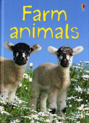 Daynes, K: Farm Animals de Katie Daynes