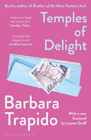 Temples of Delight de Barbara Trapido