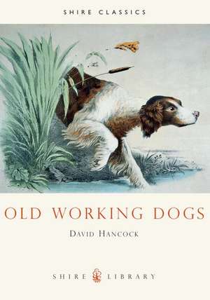 Old Working Dogs de David Hancock