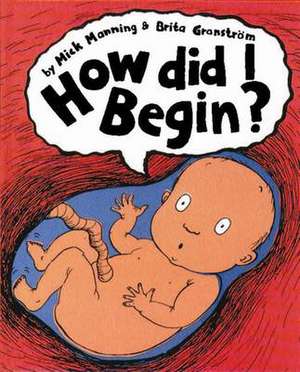 How Did I Begin? de Mick Manning