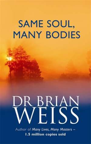 Same Soul, Many Bodies de Brian Weiss