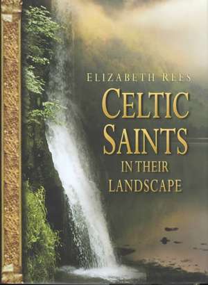 Celtic Saints in their Landscape de Elizabeth Rees