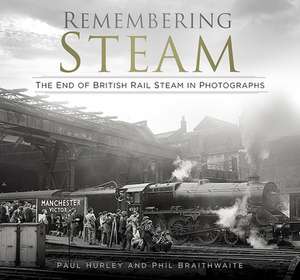 Remembering Steam de Paul Hurley