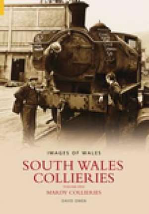 South Wales Collieries 5 de David Owen