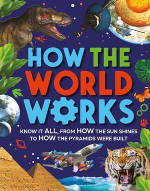 How the World Works de Clive Gifford