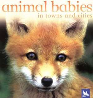 Animal Babies in Towns and Cities de Kingfisher Books