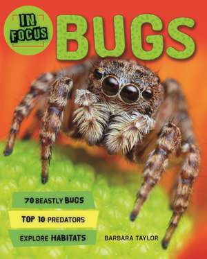 In Focus: Bugs de Kingfisher Books