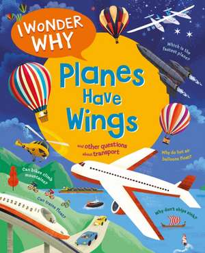 I Wonder Why Planes Have Wings de Christopher Maynard