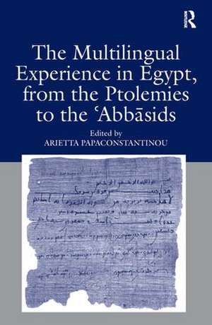 The Multilingual Experience in Egypt, from the Ptolemies to the Abbasids de Arietta Papaconstantinou