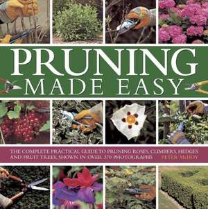 Pruning Made Easy de PETER MCHOY