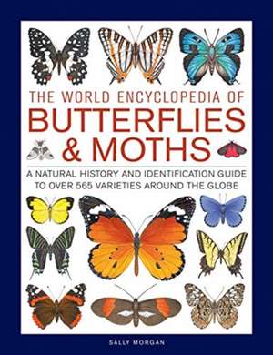 Butterflies & Moths, The World Encyclopedia of de Sally Morgan