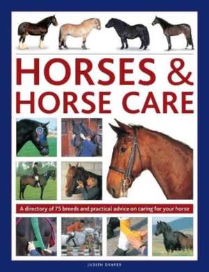 Horses & Horse Care de Judith Draper