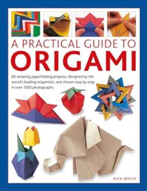 Origami, A Practical Guide to de Rick Beech