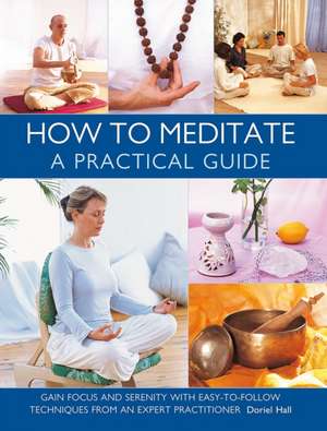 How to Meditate: A Practical Guide de Doriel Hall