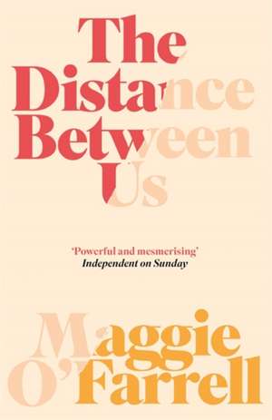 The Distance Between Us de Maggie O'Farrell