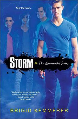 Storm de Brigid Kemmerer