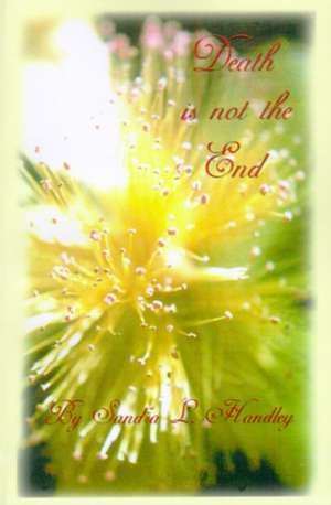 Death is Not the End de Sandra L. Handley