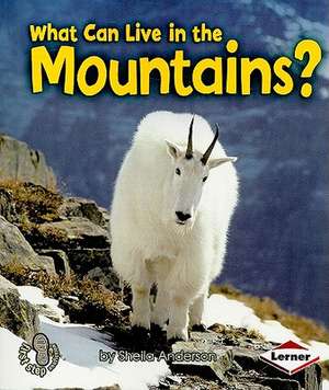 What Can Live in the Mountains? de Sheila Anderson