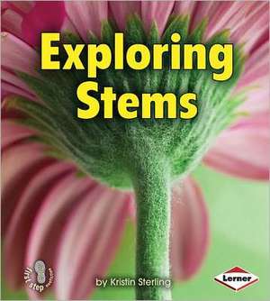 Exploring Stems de Kristin Sterling