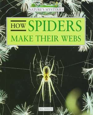 How Spiders Make Their Webs de Jill Bailey