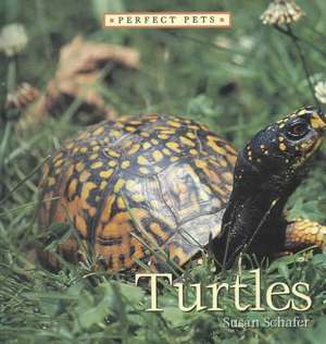 Turtles de Susan Schafer