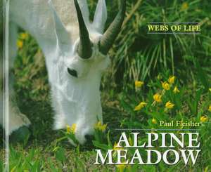 Alpine Meadow de Paul Fleisher