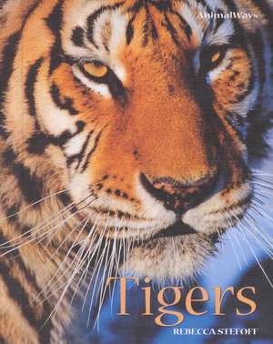 Tigers de Rebecca Stefoff