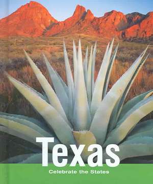 Texas de Carmen Bredeson