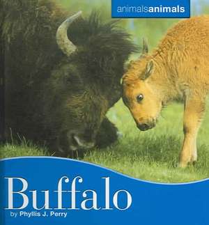 Buffalo de Phyllis J. Perry