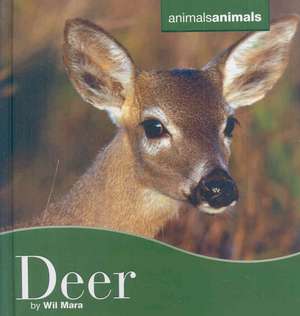 Deer Deer de Wil Mara