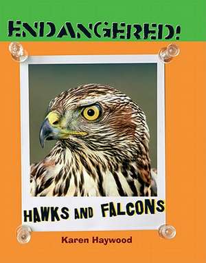 Hawks and Falcons de Karen Haywood