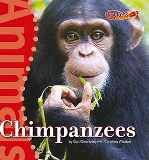 Chimpanzees de Daniel A. Greenberg