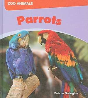 Parrots de Debbie Gallagher