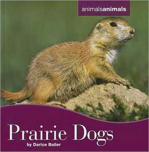 Prairie Dogs de Darice Bailer