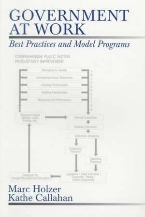 Government at Work: Best Practices and Model Programs de Marc Holzer