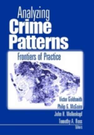 Analyzing Crime Patterns: Frontiers of Practice de Victor Goldsmith