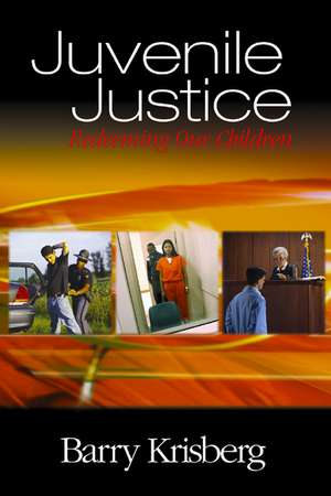 Juvenile Justice: Redeeming Our Children de Barry A. Krisberg