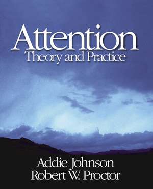 Attention: Theory and Practice de Addie Johnson