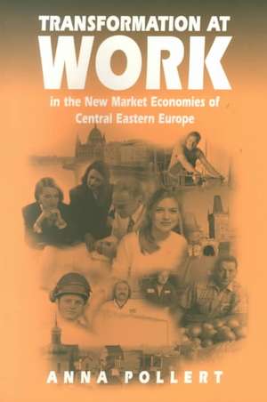 Transformation at Work: In the New Market Economies of Central Eastern Europe de Anna Pollert