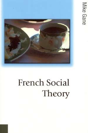 French Social Theory de Mike Gane