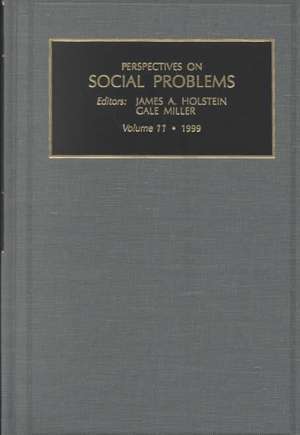 Perspectives on Social Problems de James A. Holstein