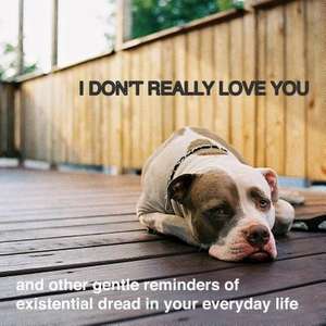 I Don't Really Love You: And Other Gentle Reminders of Existential Dread in Your Everyday Life de Alex Beyer