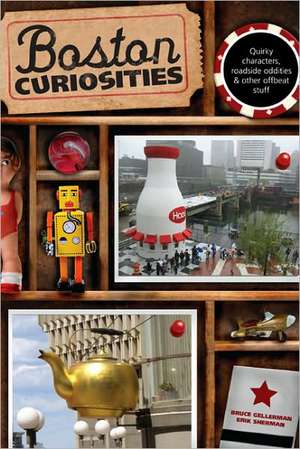 Boston Curiosities de Bruce Gellerman