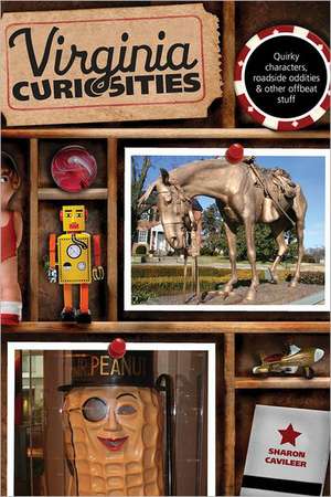 Virginia Curiosities de Sharon Cavileer