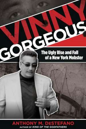 Vinny Gorgeous de Anthony M. DeStefano